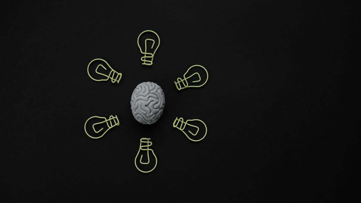 Cerebro. Foto: Unsplash.