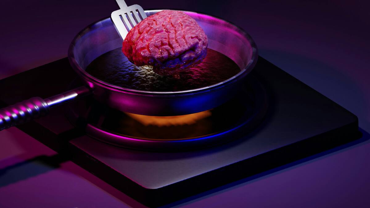 Cerebro. Foto: Unsplash