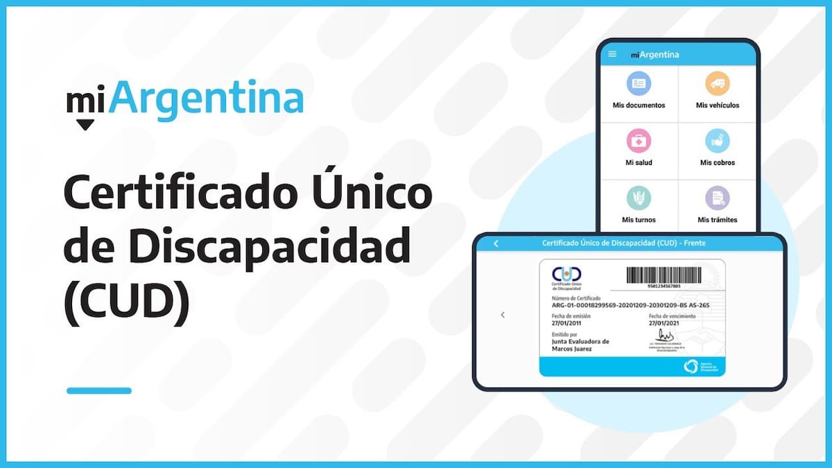 Certificado Único de Discapacidad. Foto: Argentina.gob.ar