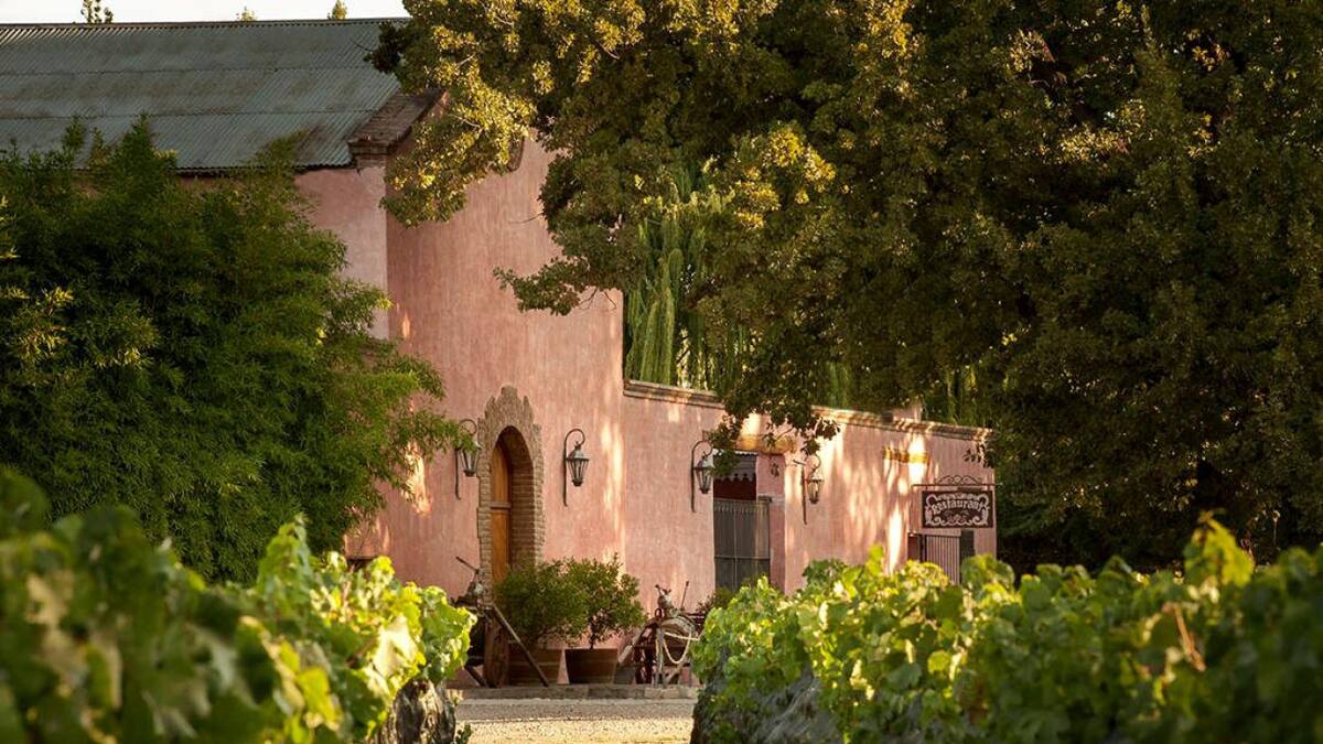 Chacras de Coria, en Mendoza. Foto: Cámara de Turismo de Mendoza.