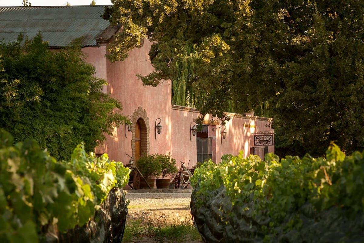 Chacras de Coria, en Mendoza. Foto: Cámara de Turismo de Mendoza.