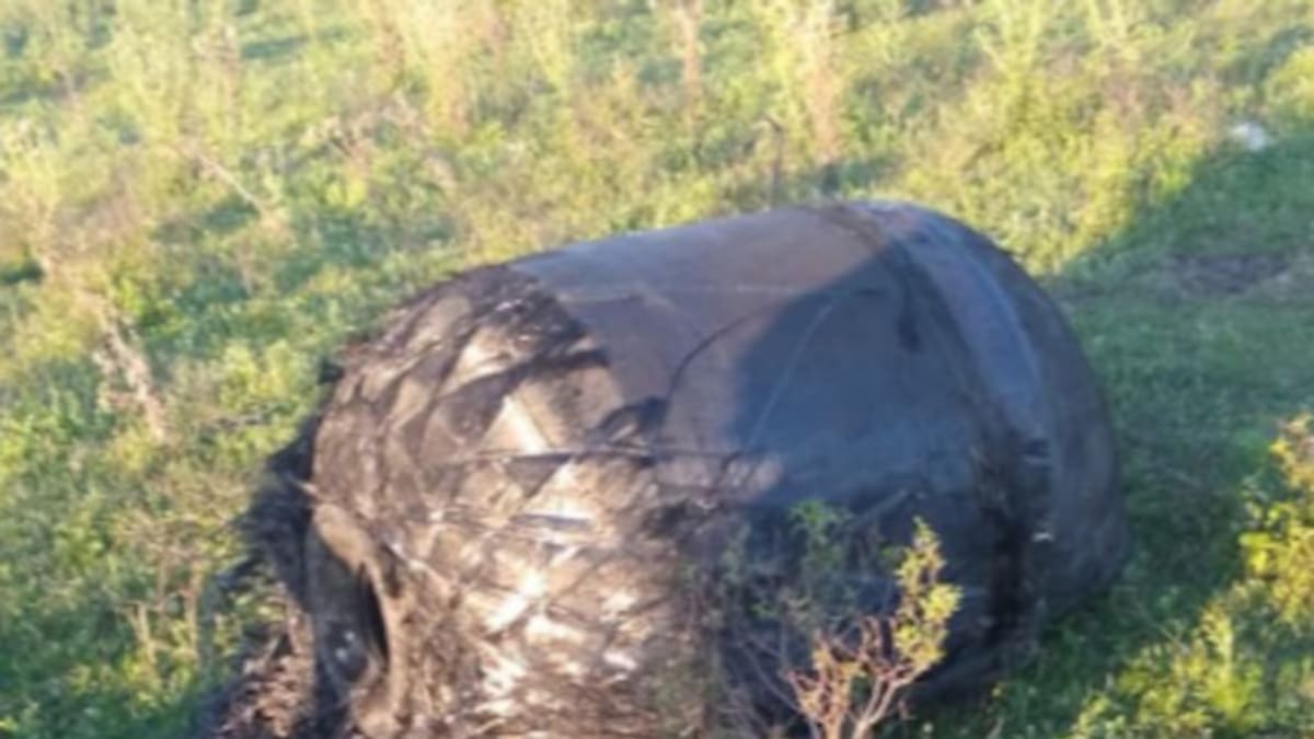¿OVNIS en Chaco?: hallaron un objeto espacial desconocido en un campo de Puerto Tirol