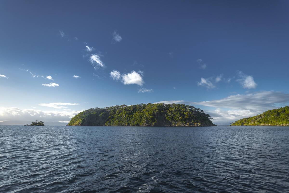 Chile crea el Parque Nacional Cabo Froward. Foto: EFE