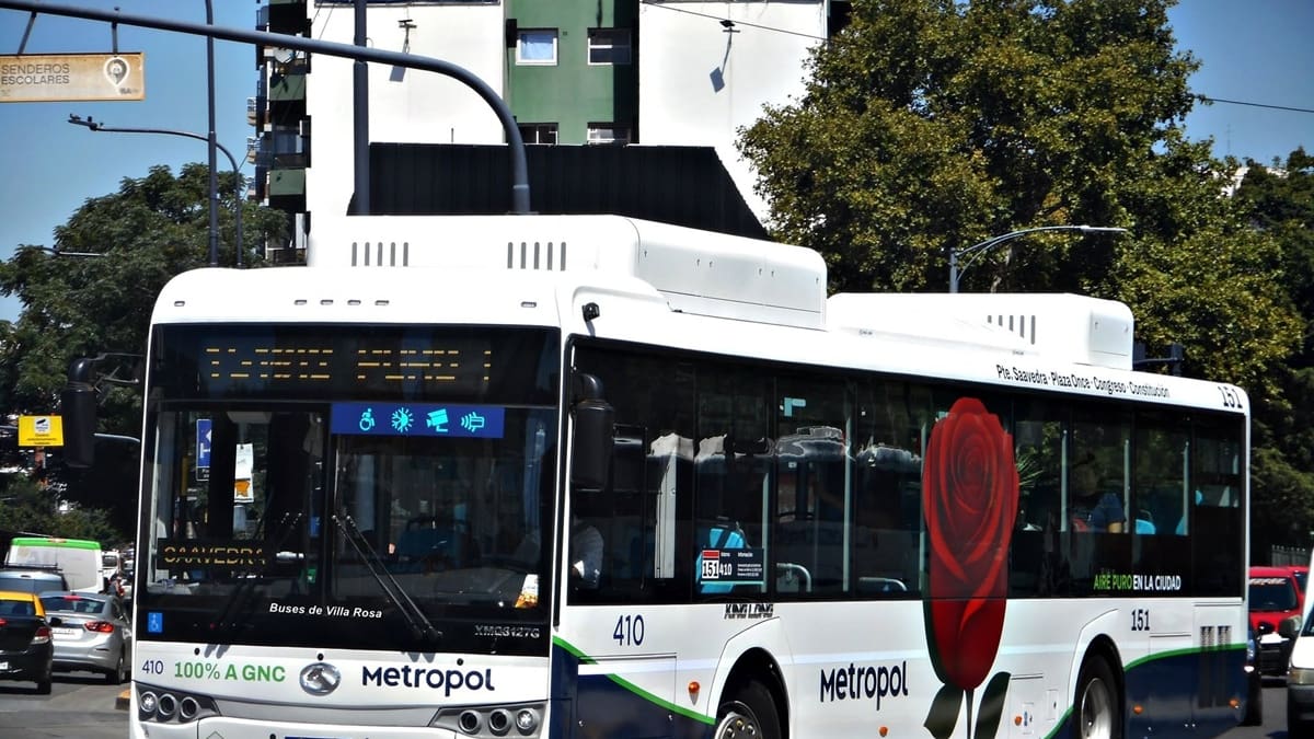 China desembarca en el transporte público de la Argentina: la Nueva Metropol invirtió US$45 millones en 150 colectivos