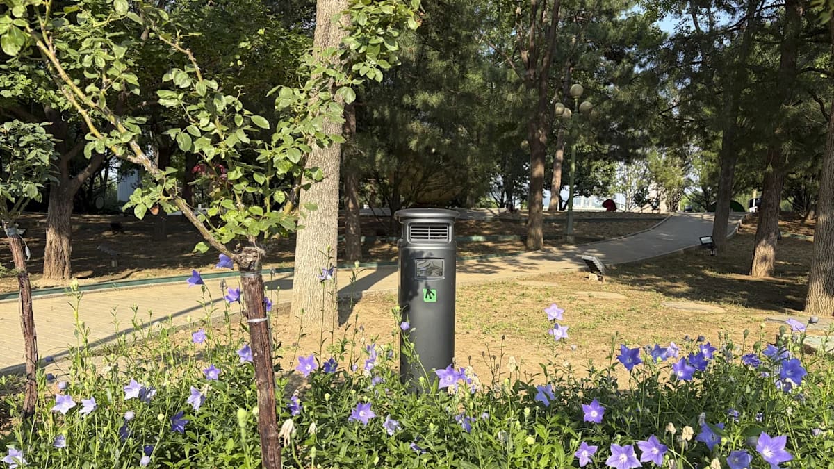 China ya tiene su primer parque “libre de mosquitos”: la fórmula con trampas inteligentes y plantas repelentes para lograrlo