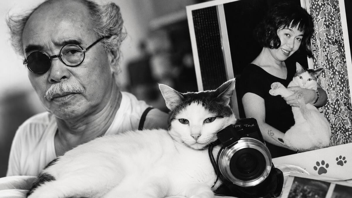 Chiro, la gata del fotógrafo japonés Nobuyoshi Araki, que lo acompañó durante 22 años y protagonizó cientos de sus fotografías.