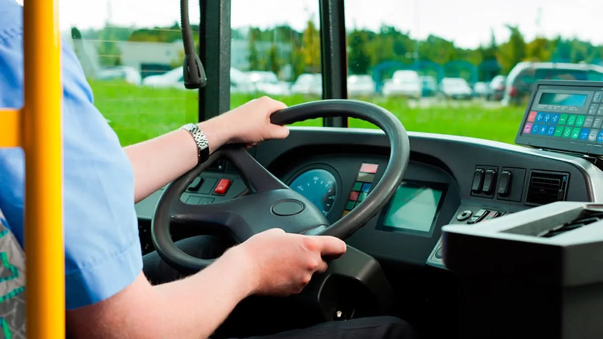 Cuánto cobra un chofer de colectivo en junio de 2026: todo lo que tenés que saber sobre montos actualizados, antigüedad y adicionales
