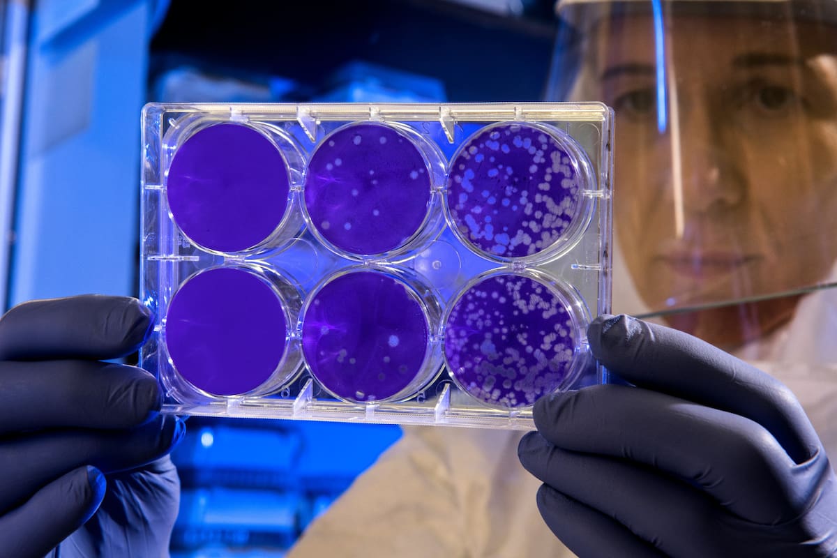 Ciencia, científicos, medicina, ceélulas madre. Unsplash