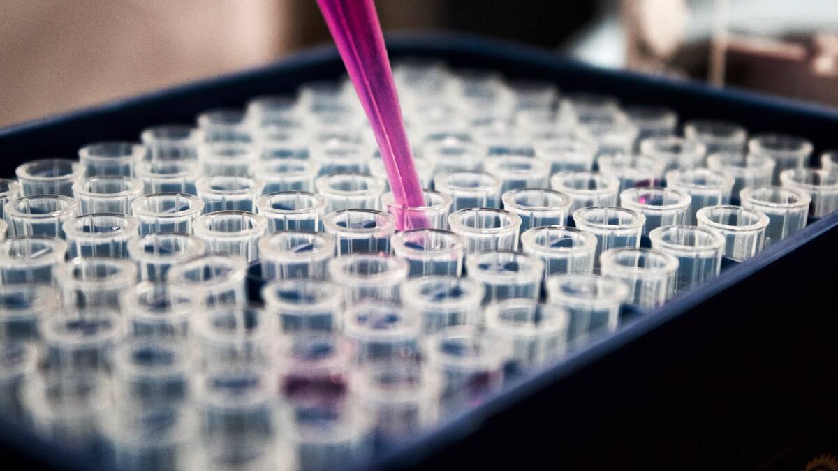 Ciencia, científicos, medicina, ceélulas madre. Unsplash