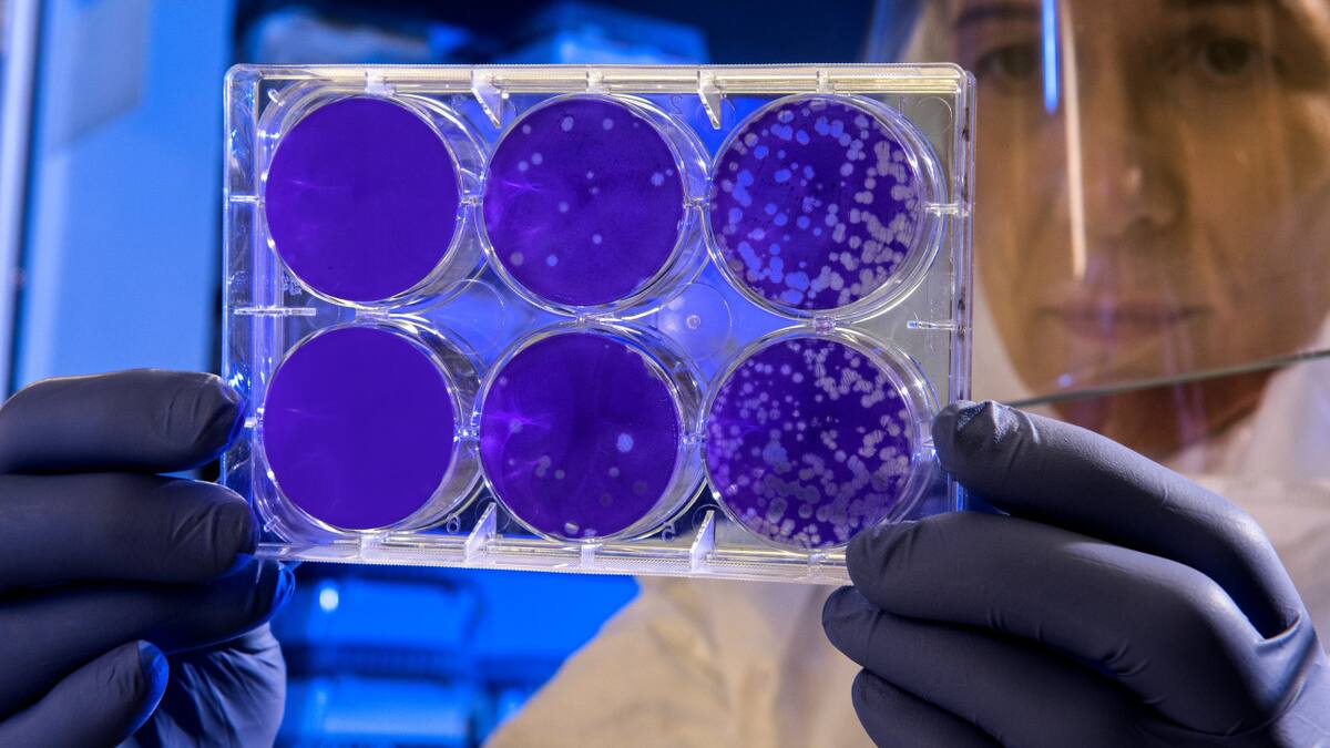 Ciencia, científicos, medicina, ceélulas madre. Unsplash