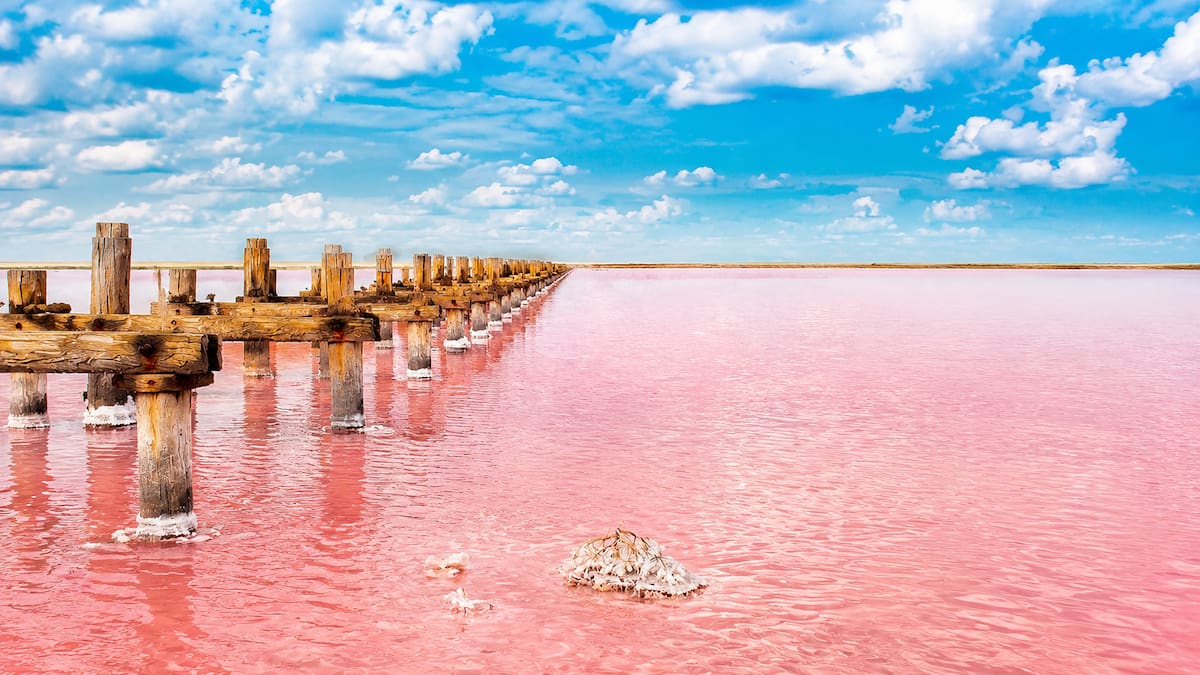 El lago africano que “convierte en piedra” a los animales: así funciona el fenómeno químico similar a la momificación egipcia