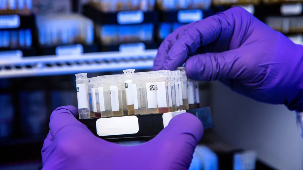 Científicos, ciencia, medicina. Unsplash