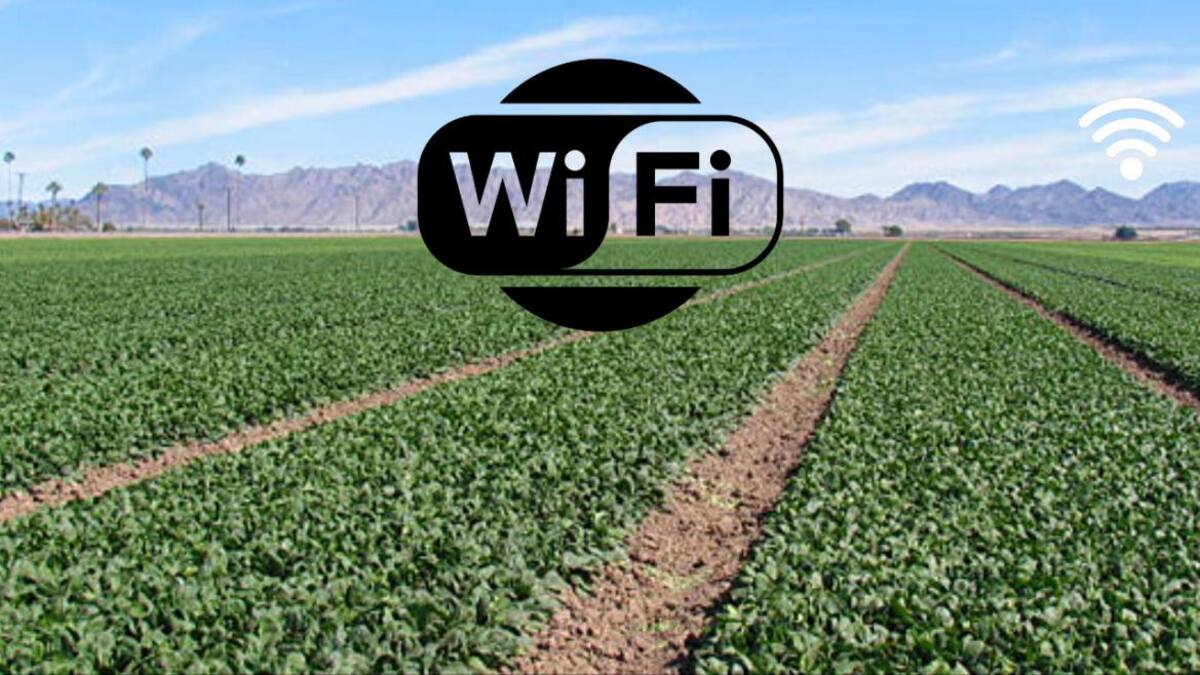 Científicos consiguen que espinacas envíen emails para advertirnos del cambio climático
