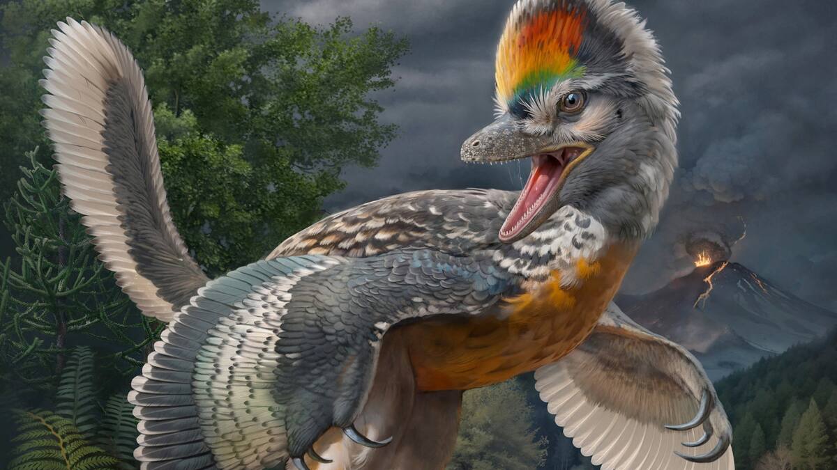 Científicos descubren un extraño dinosaurio con patas largas, parecido a un pájaro. Foto: Reuters