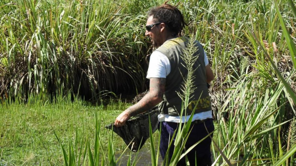 Científicos durante la investigación en la Reserva Natural de la Defensa Puerto Península. Foto: Telam