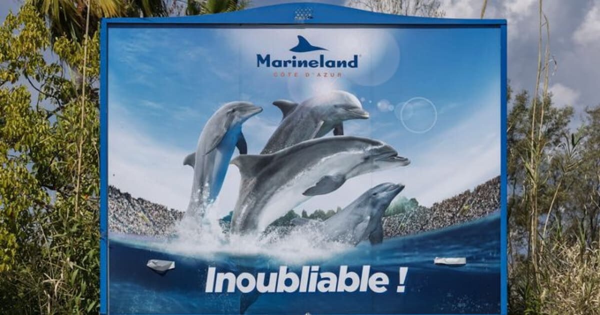 Cierra un parque acuático en Francia. Fuente: X @MarinelandIscae