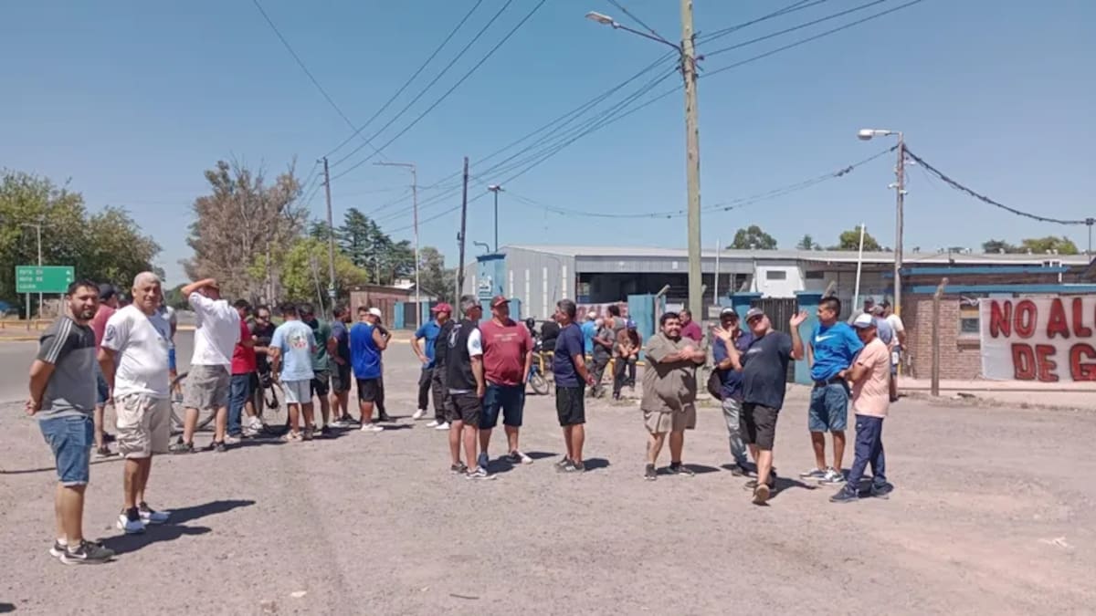 La fábrica de alimentos para animales despidió a 80 trabajadores.