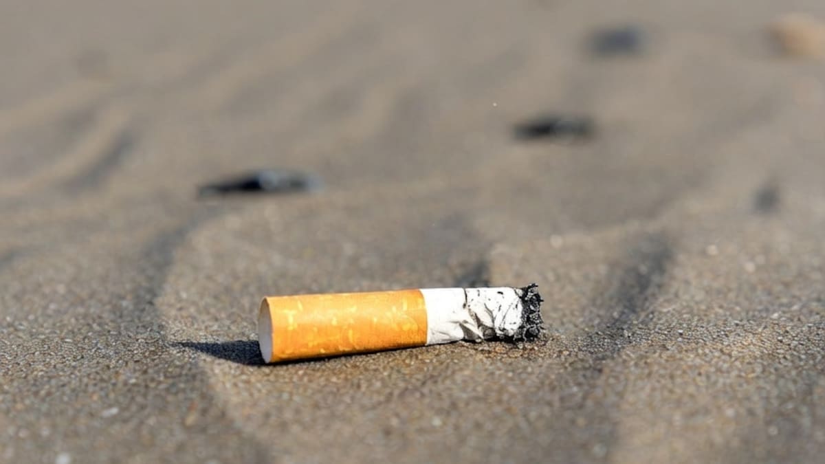Verano libre de humo: el balneario argentino que aplicará multas de hasta $500.000 a quienes fumen en sus playas