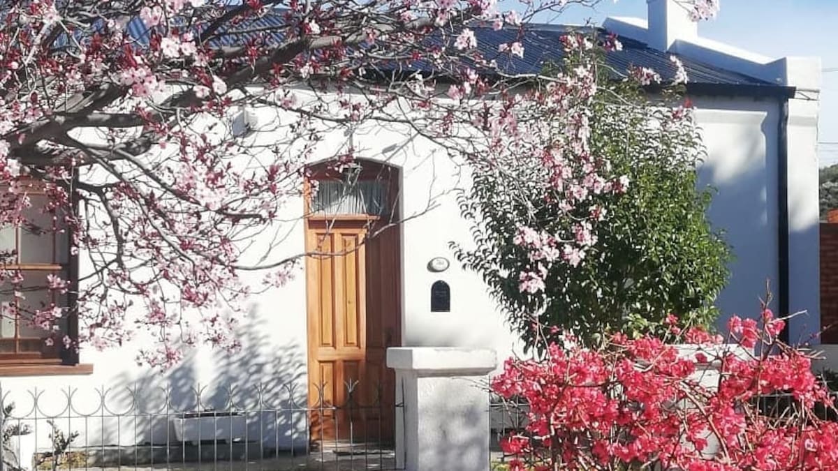 El árbol de frutas que es ideal para jardines de ciudad porque es fácil de cuidar y no destroza las veredas