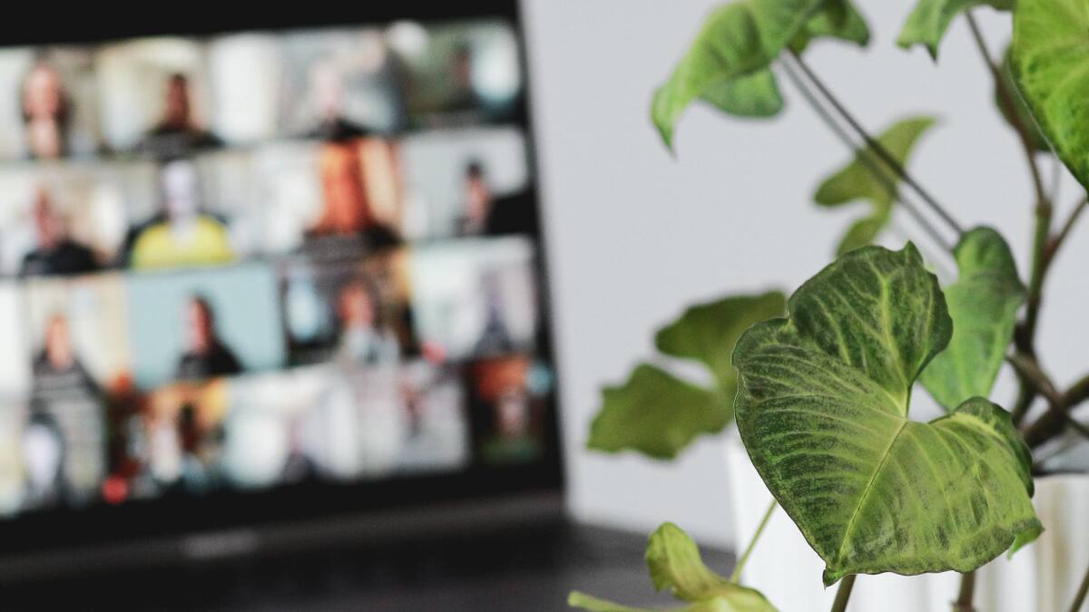 Clases virtuales. Foto: Unsplash.