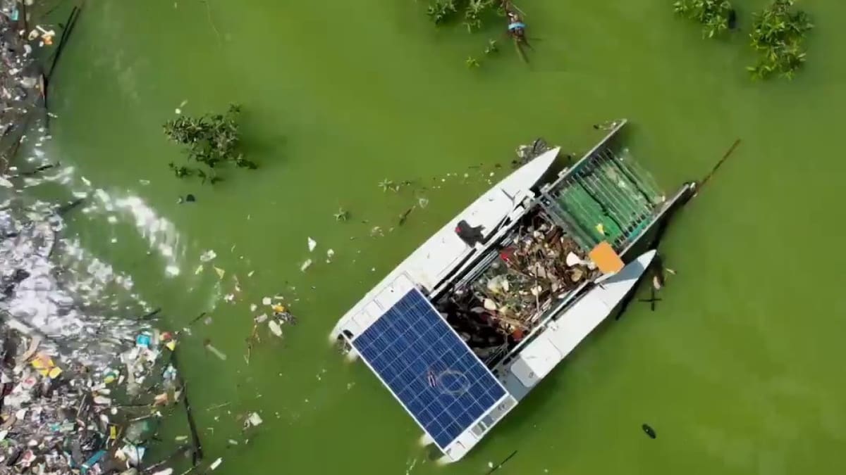 Clearbot, el robot recolector de basura creado en Hong Kong. Foto: Captura de video, Viory.