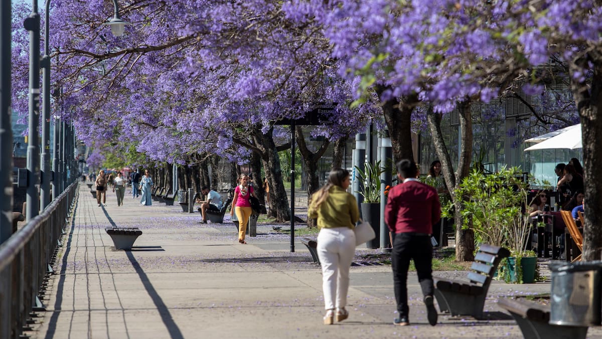 Vuelve el calor a la Ciudad.