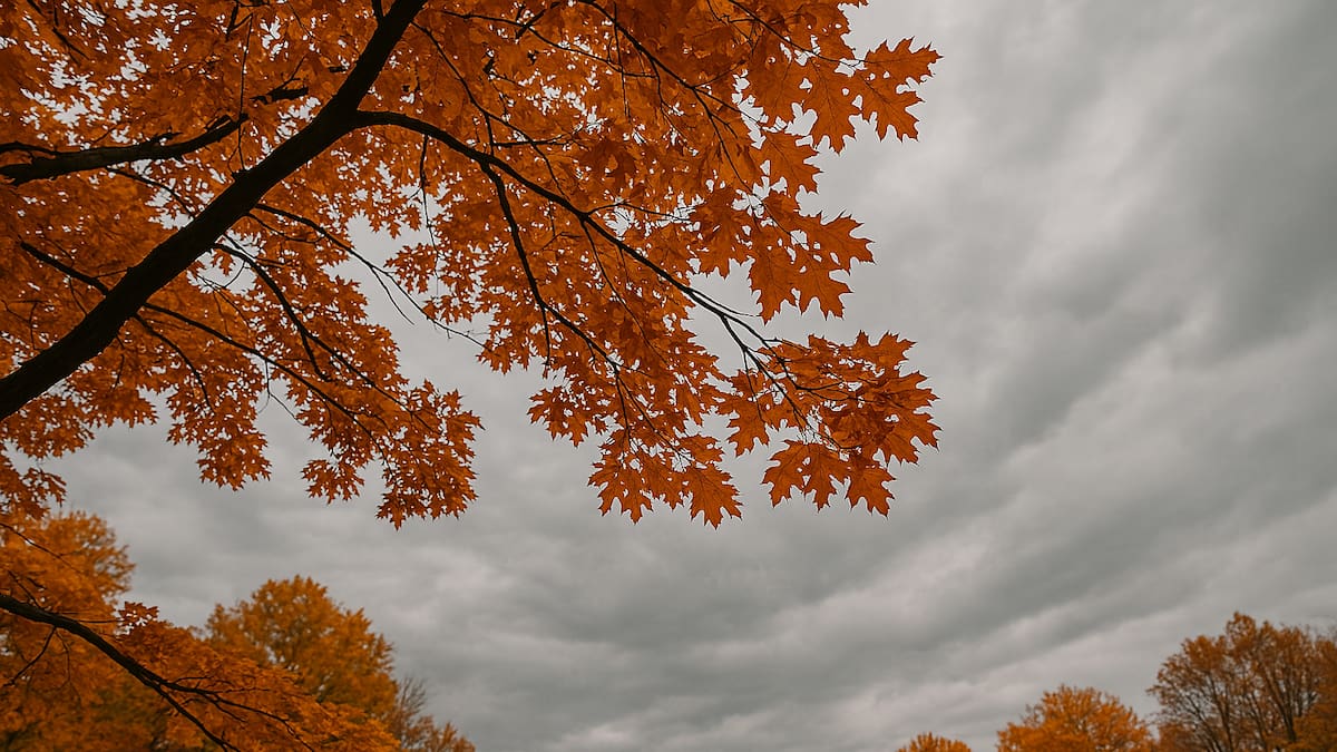 Otoño en Argentina