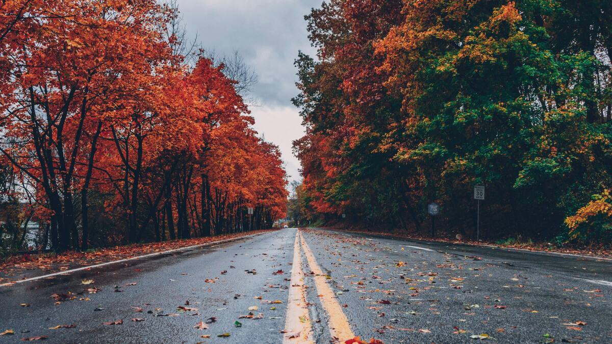 Clima, otoño, invierno, frío. Foto: Pexels.