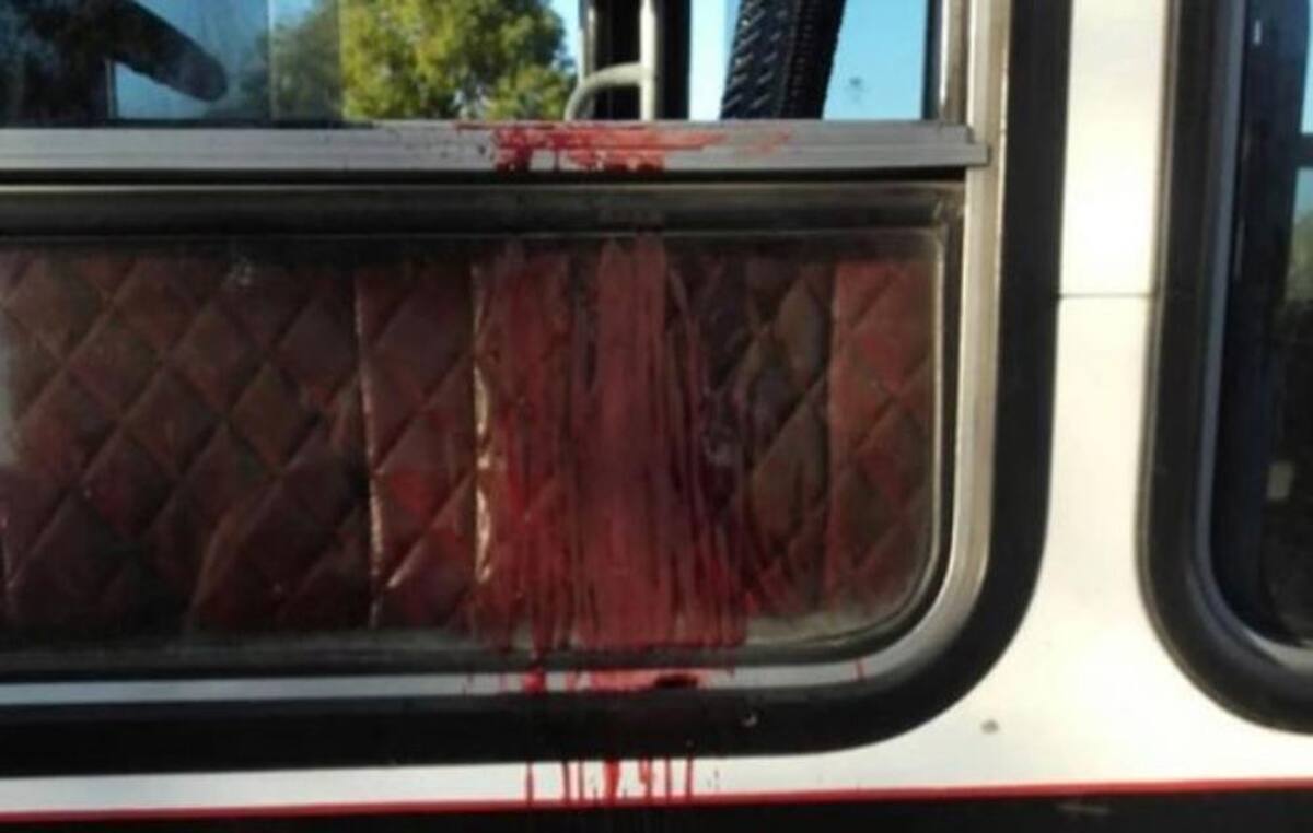 Colectivero asesinado en Virrey del Pino - Leandro Miguel Alcaraz