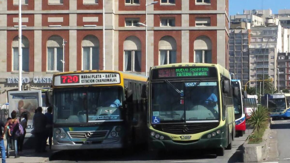 Colectivos en Mar del Plata