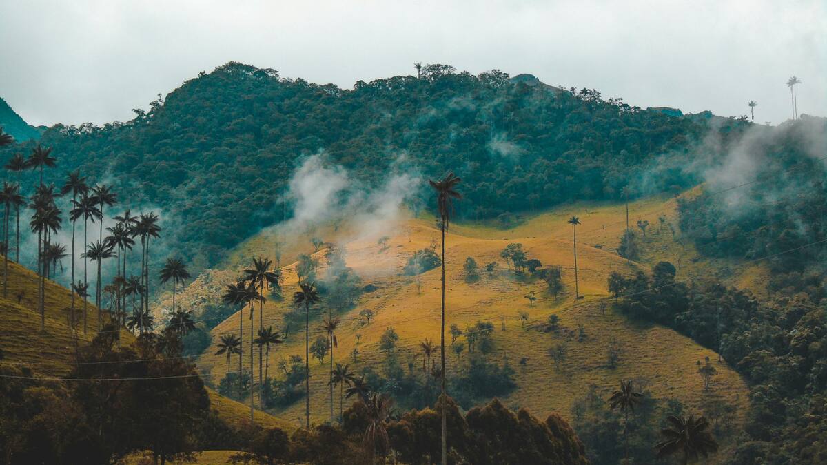 Colombia, un país con paisajes muy diversos. Foto: Unsplash