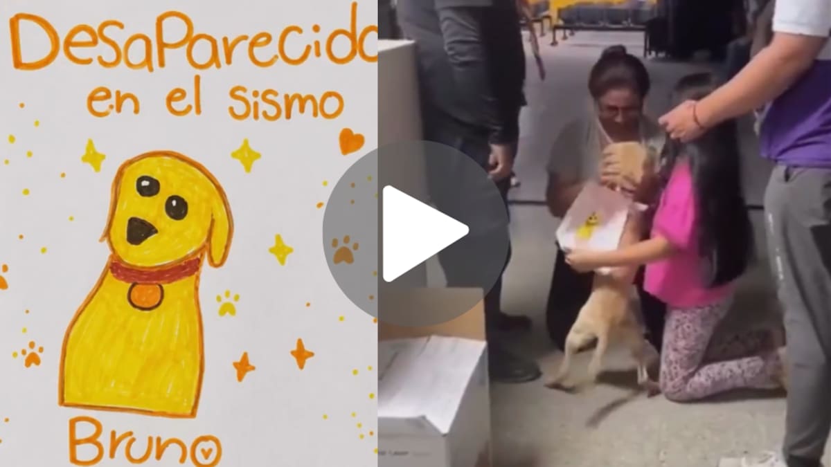 Una nena dibujó a su perro desaparecido tras el terremoto de Colombia y finalmente volvió a abrazarlo: el emotivo reencuentro