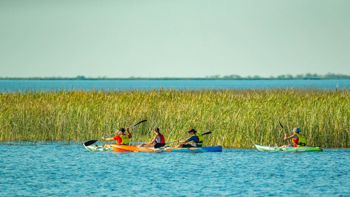 Colonia Carlos Pellegrini, Corrientes.