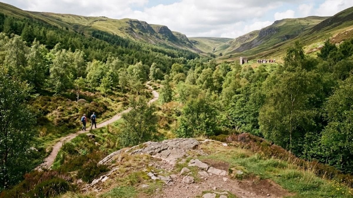Un grupo de voluntarios estaba en Escocia, plantó 100 ramas y 25 años después había 750.000 árboles