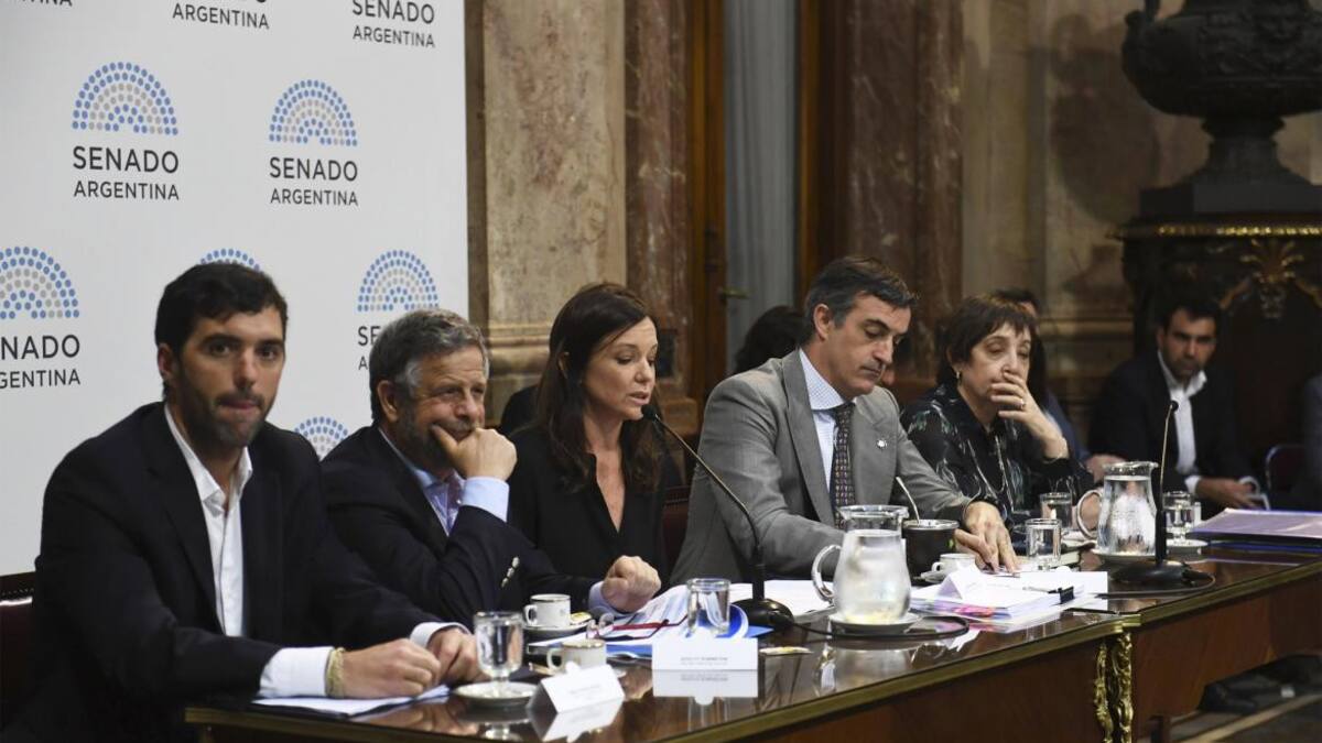 Comisión de Presupuesto en el Senado, Presupuesto 2019, economía, política, NA