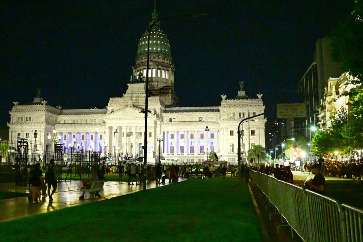 Congreso argentino. Foto: NA / Maximiliano Luna