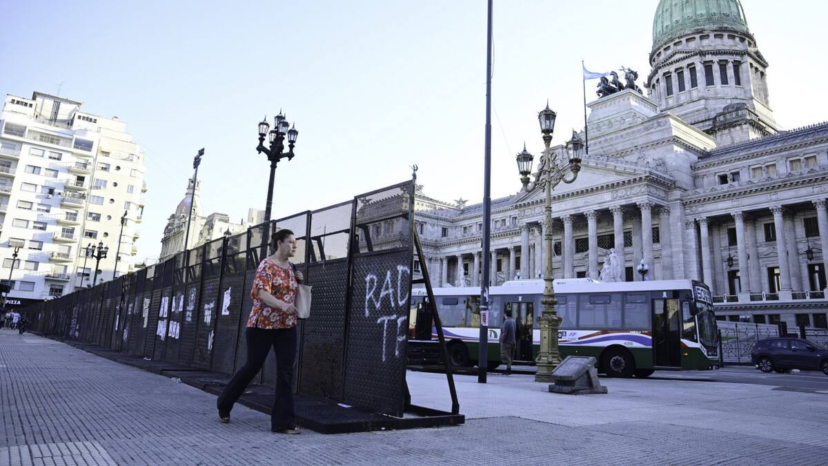 Susto en el Congreso por la aparición de un rifle de aire comprimido: un diputado se confundió y puso la dirección del despacho