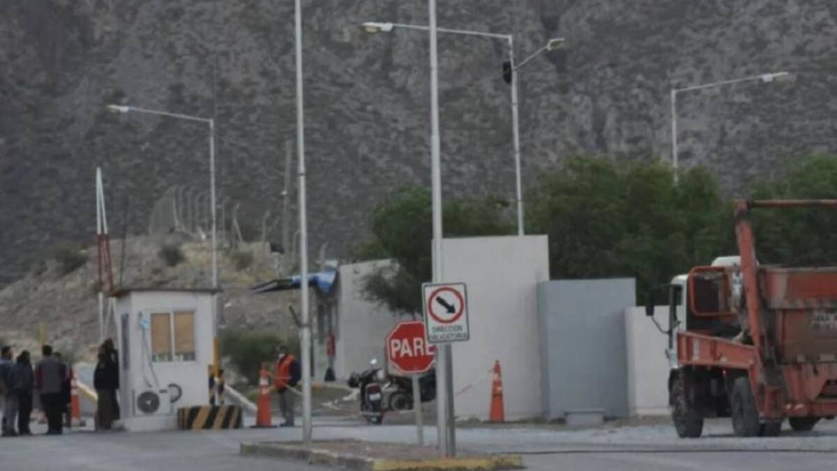 Conmoción en San Juan: una jauría de perros callejeros mató a un hombre