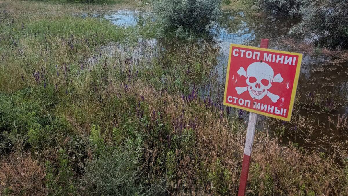 Consecuencias de las inundaciones en la región de Jersón, Ucrania. Foto: Reuters.