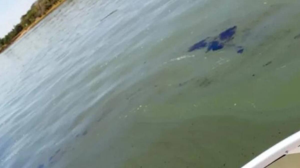 Contaminación en el río Paraná. Foto: NA