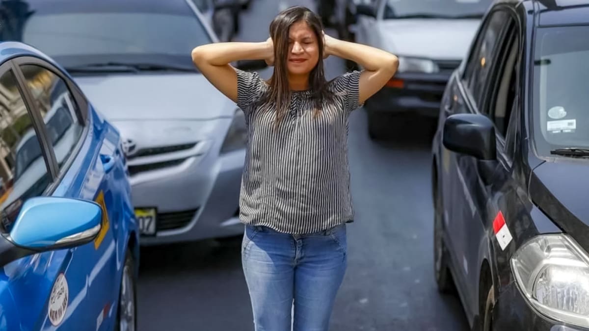 Contaminación sonora. Foto: CONICET NOA SUR