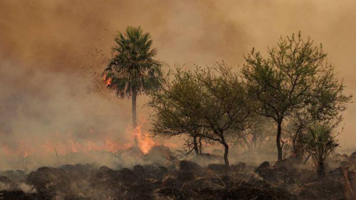 Continúa el combate de los incendios en Corrientes 23-2-22