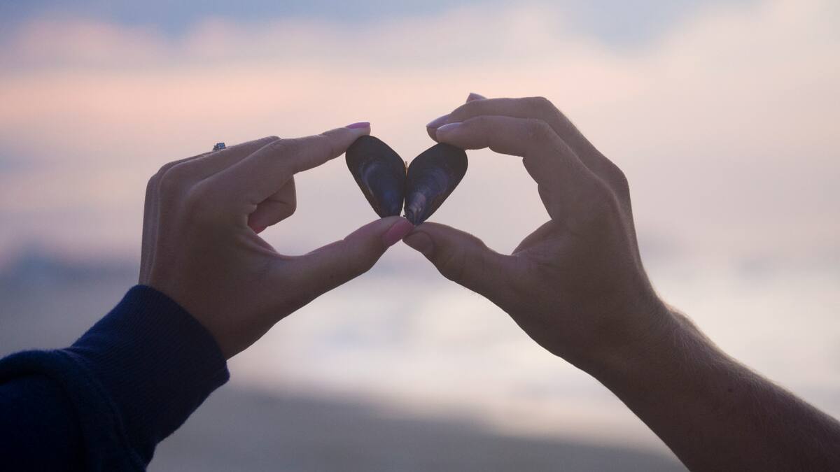 Corazón roto; desamor. Foto: Unsplash