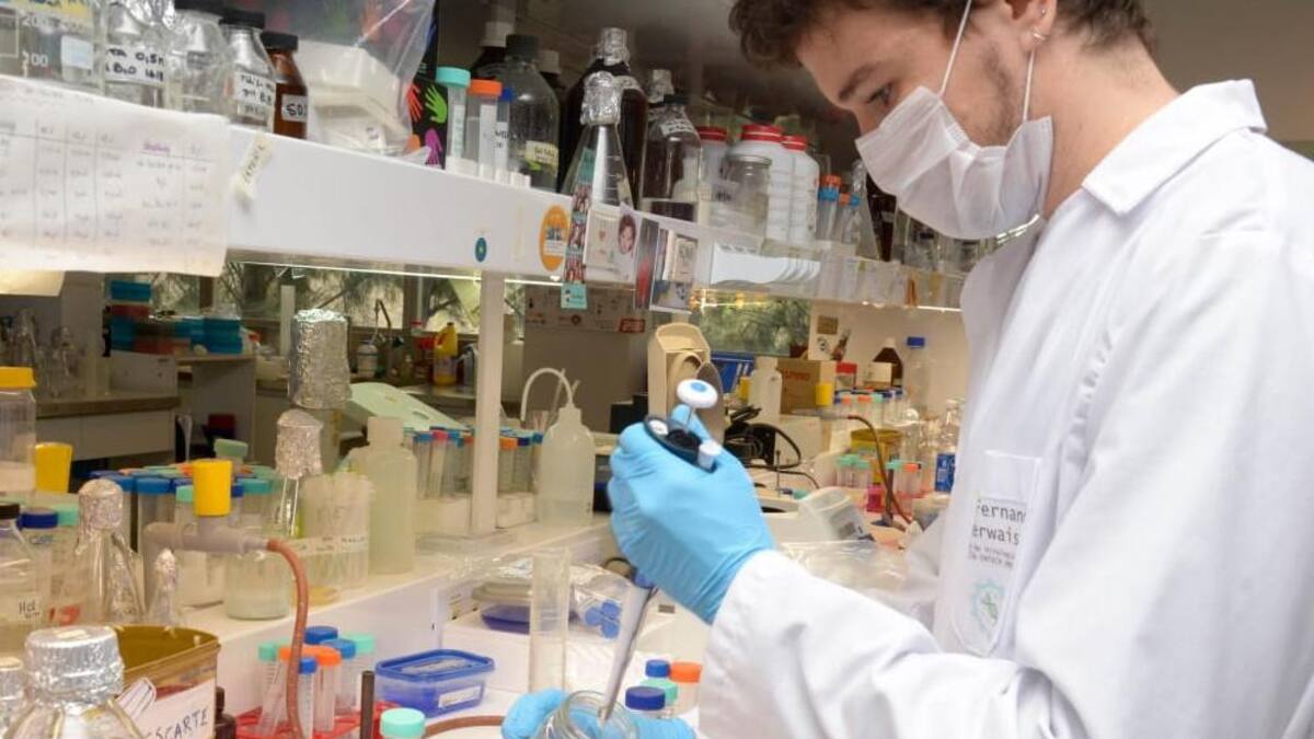 Coronavirus, Argentina, pandemia, testeos, NA