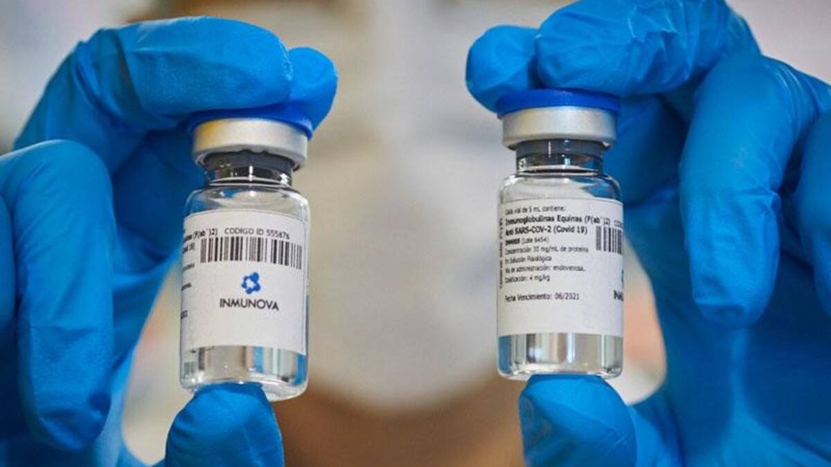 Coronavirus en Argentina, suero equino