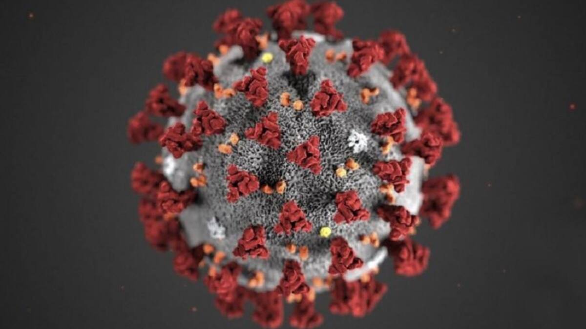 Coronavirus en el mundo