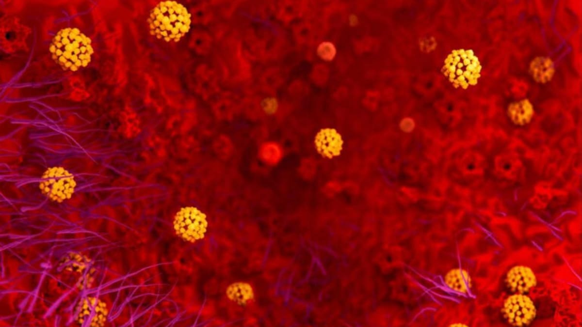 Coronavirus en el mundo. Foto: EFE.