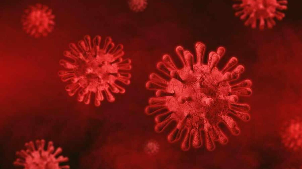 Coronavirus en el mundo, pandemia