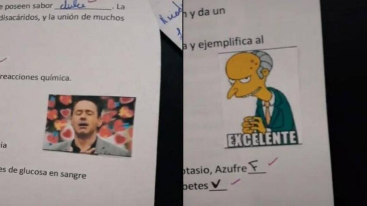 Corrección de exámenes con memes de una docente entrerriana