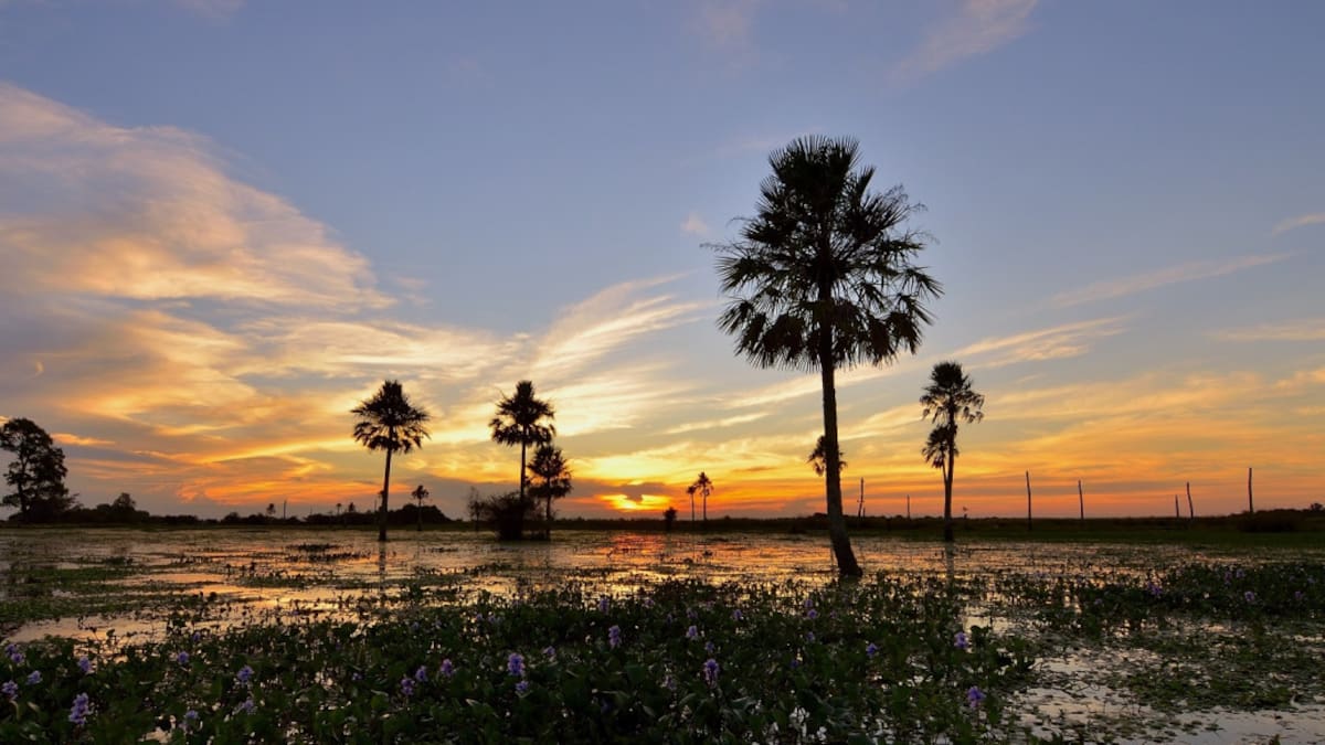 Corrientes. Fuente: Turismo Corrientes.